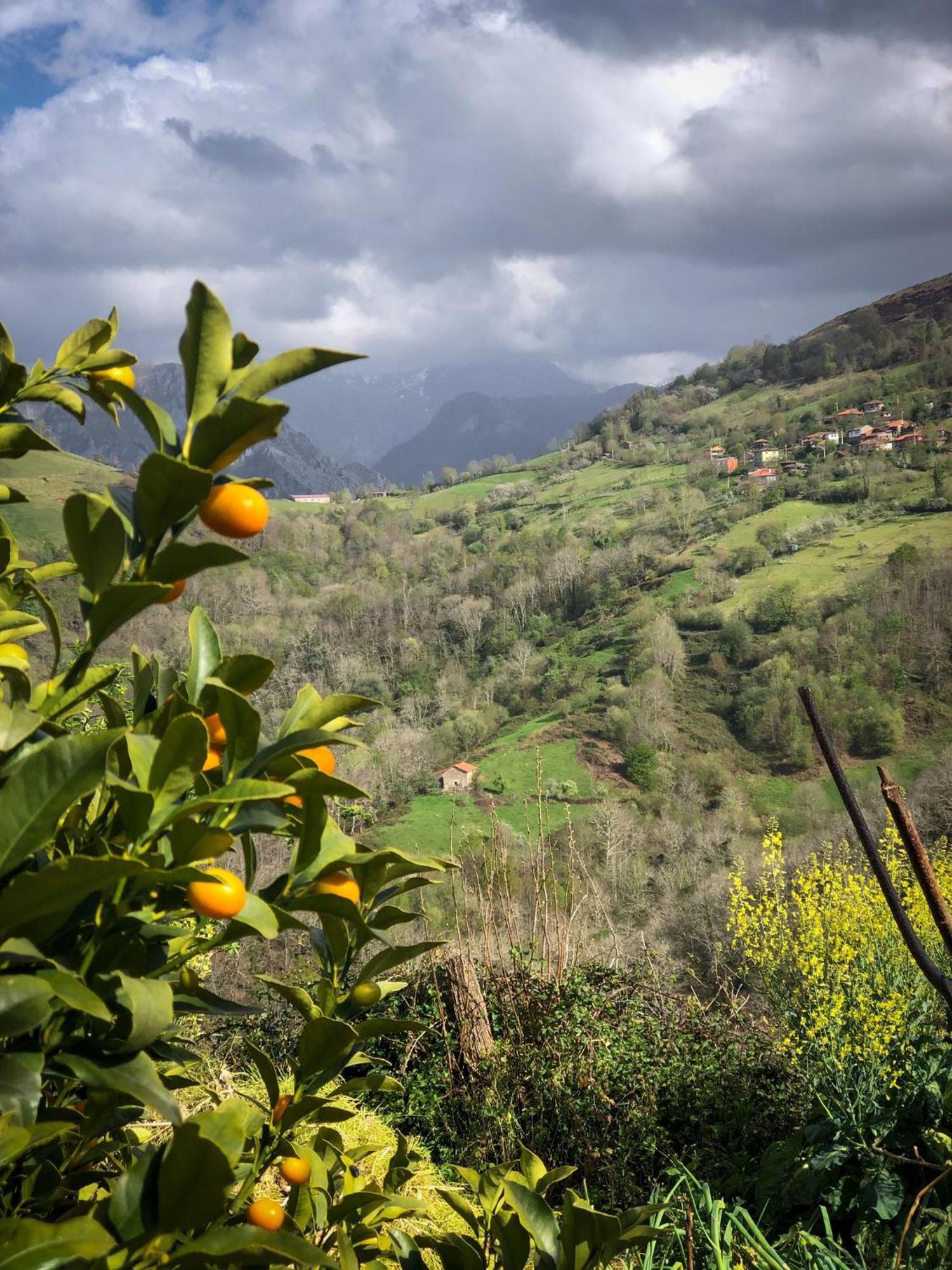 PenEl Refugio Del Busgosu别墅 外观 照片